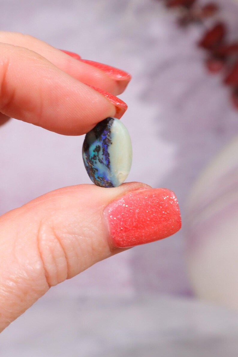Australian Fern Fossil Opal