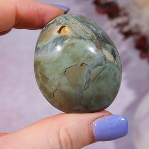 Ibis Jasper Palm stones | Intuitively Chosen
