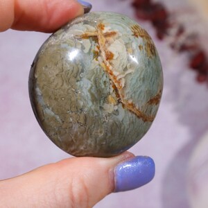 Ibis Jasper Palm stones | Intuitively Chosen