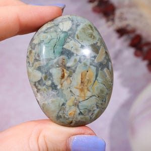 Ibis Jasper Palm stones | Intuitively Chosen