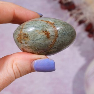 Ibis Jasper Palm stones | Intuitively Chosen