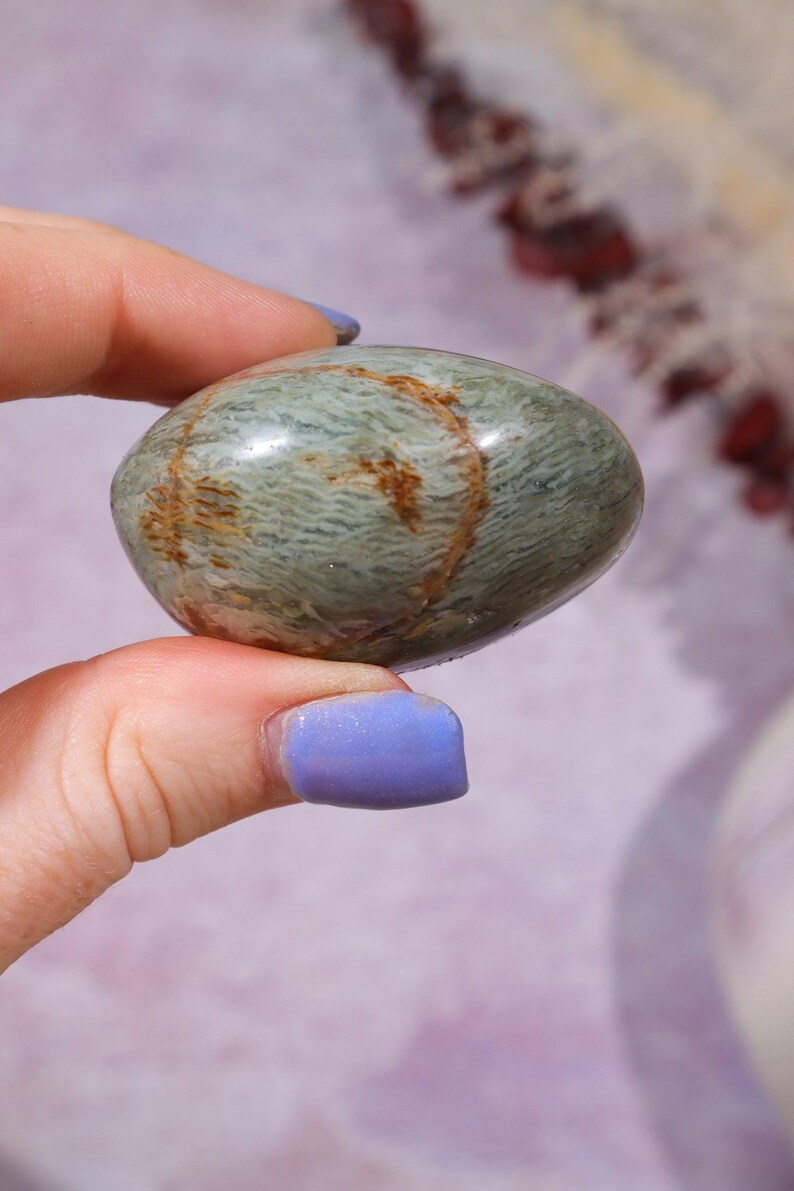 Ibis Jasper Palm stones | Intuitively Chosen