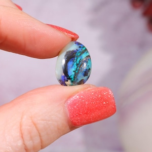 Australian Fern Fossil Opal