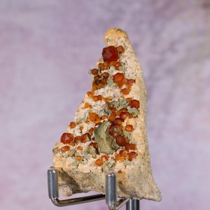 Könnte beinhalten: Eine natürliche Mineralprobe mit einer rauen, beigefarbenen Matrix und Clustern aus leuchtend orange-roten Kristallen. Das Mineral ist auf einem silbernen Präsentationsständer montiert, der seine einzigartige Textur und Farbe vor einem weichen, violetten Hintergrund hervorhebt.