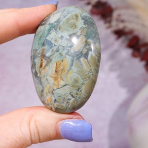 Ibis Jasper Palm stones | Intuitively Chosen