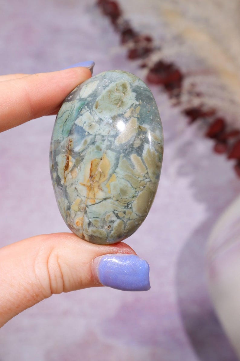 Ibis Jasper Palm stones | Intuitively Chosen