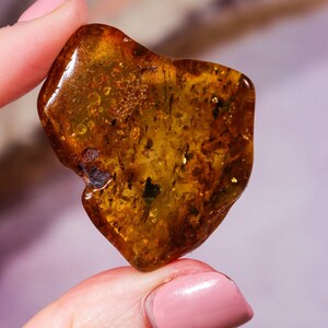 amber Gemstones, amber stones, polished gemstone, tumbled stones, healing stones, natural Baltic Amber, small smooth gems, golden amber, Crystal grids, crystal therapy, grounding stone, fossilized resin, real genuine pure