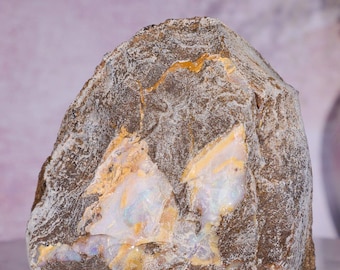 Yowah Boulder Opal Rough 7cm | Natural Queensland Matrix Opal
