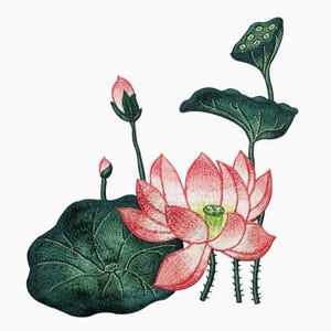 May include: Embroidered lotus flower design with pink petals, green leaves, and a seed pod. The image features a detailed floral pattern, showcasing the delicate textures and colors of the lotus in full bloom and bud form.