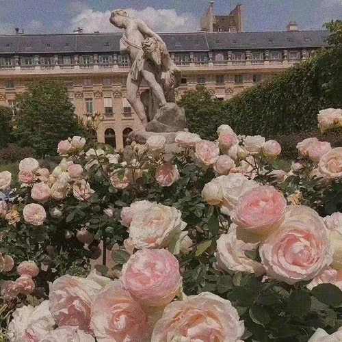 2 Toppe Ricamate A Fiore Di Prugna Rosa: Termoadesive O Da Cucire, Per Abbigliamento E Fai Da Te