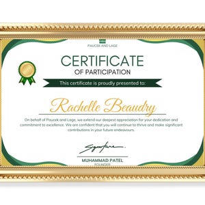 Editable Participation Award Certificate, Certificate of Participation, Recognition Award, Instant Download, Award Template, Recognition