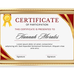 Editable Participation Award Certificate, Certificate of Participation, Recognition Award, Instant Download, Award Template, Recognition