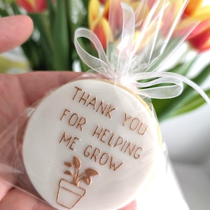Thank You Teacher Cookies: Vanilla Flavor, Individually Wrapped, Handpainted cookie, Nursery gift