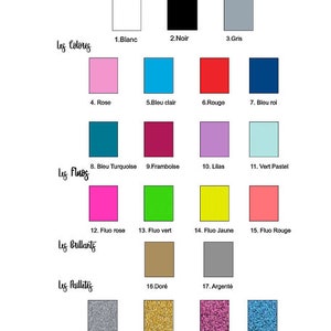 May include: A color chart with 21 different colors, organized into categories: Classics, Colors, Fluos, Brilliants, and Paillettes. Each color is labeled with a number and a French name.
