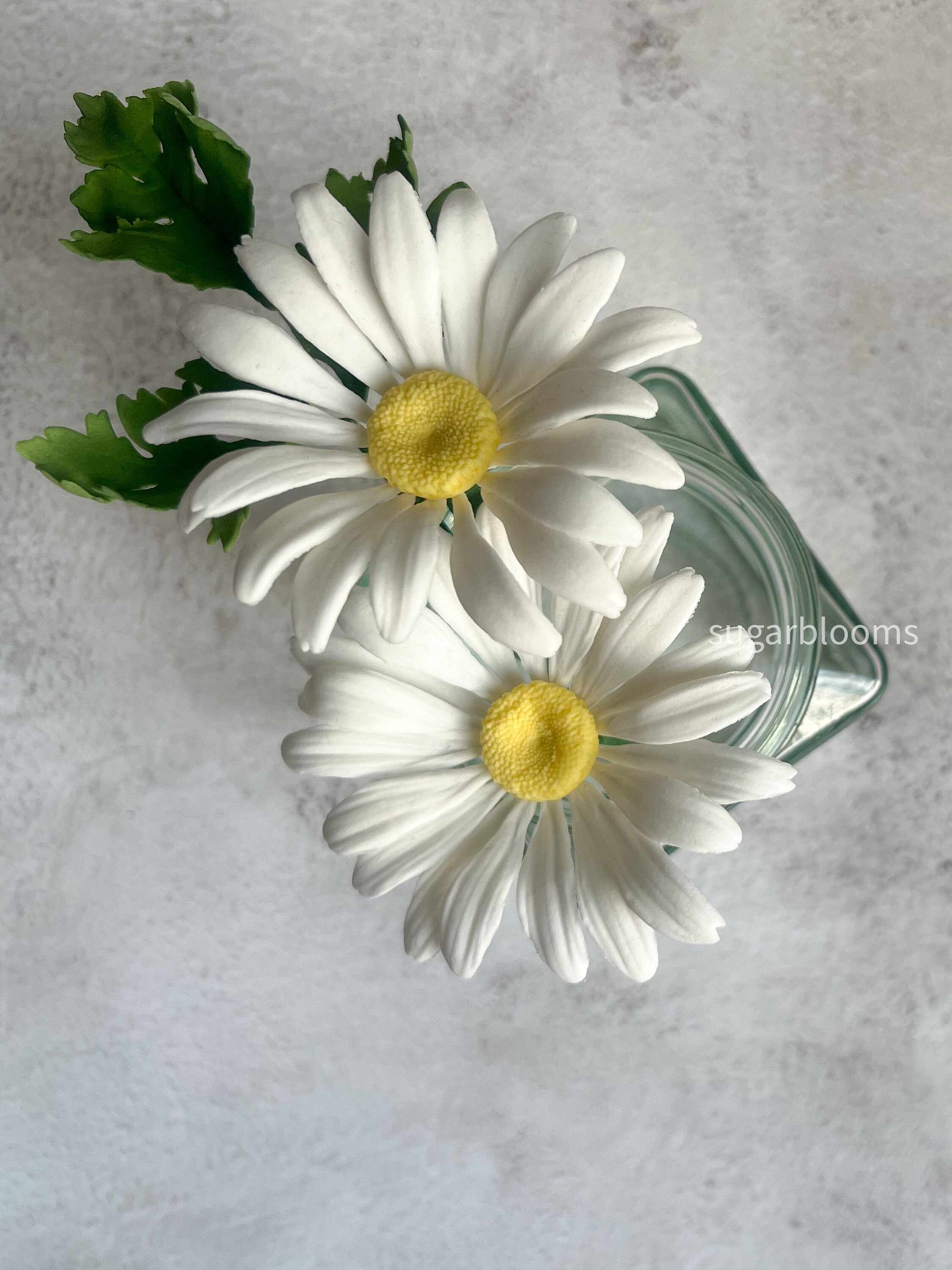 Daisy Sugar Flowers for Cake Decoration White With Leaves, Made to Order Sugar Spray, Sugar