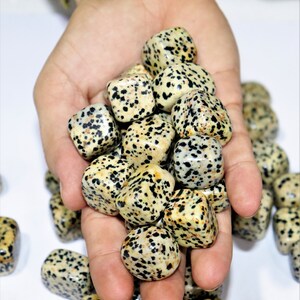 Dalmatian Jasper For Awareness , For Claiming the troubled mind , For Cleansing , Heals the Healer Stone Made Tumbled Stones 500Grams
