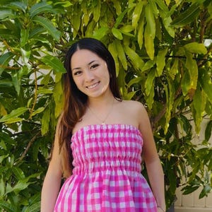 Hawaii Palaka Bag - Etsy