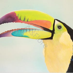 Kunstkarte Tukan/ Vogel/ Tropen/ Urwald, Karte A6, Postkarte, Grußkarte, Kunst, Blankorückseite