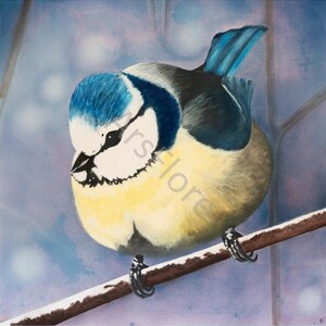 Kunstkarte Blaumeise/ Vogel, Karte A6, Postkarte, Grußkarte, Kunst, Blankorückseite