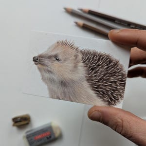 Mini-Kunstkarten-Serie A7 auf strukturiertem Hanffaser-Papier: Mistel, Cistrose, Vergissmeinnicht, Johanniskraut, Schlehe, Rotkehlchen, Igel
