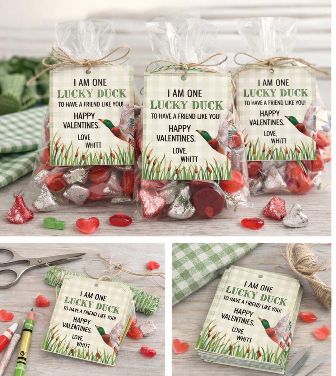 Lucky Duck Valentine Gift Tags for Boys | Printable Classroom ...