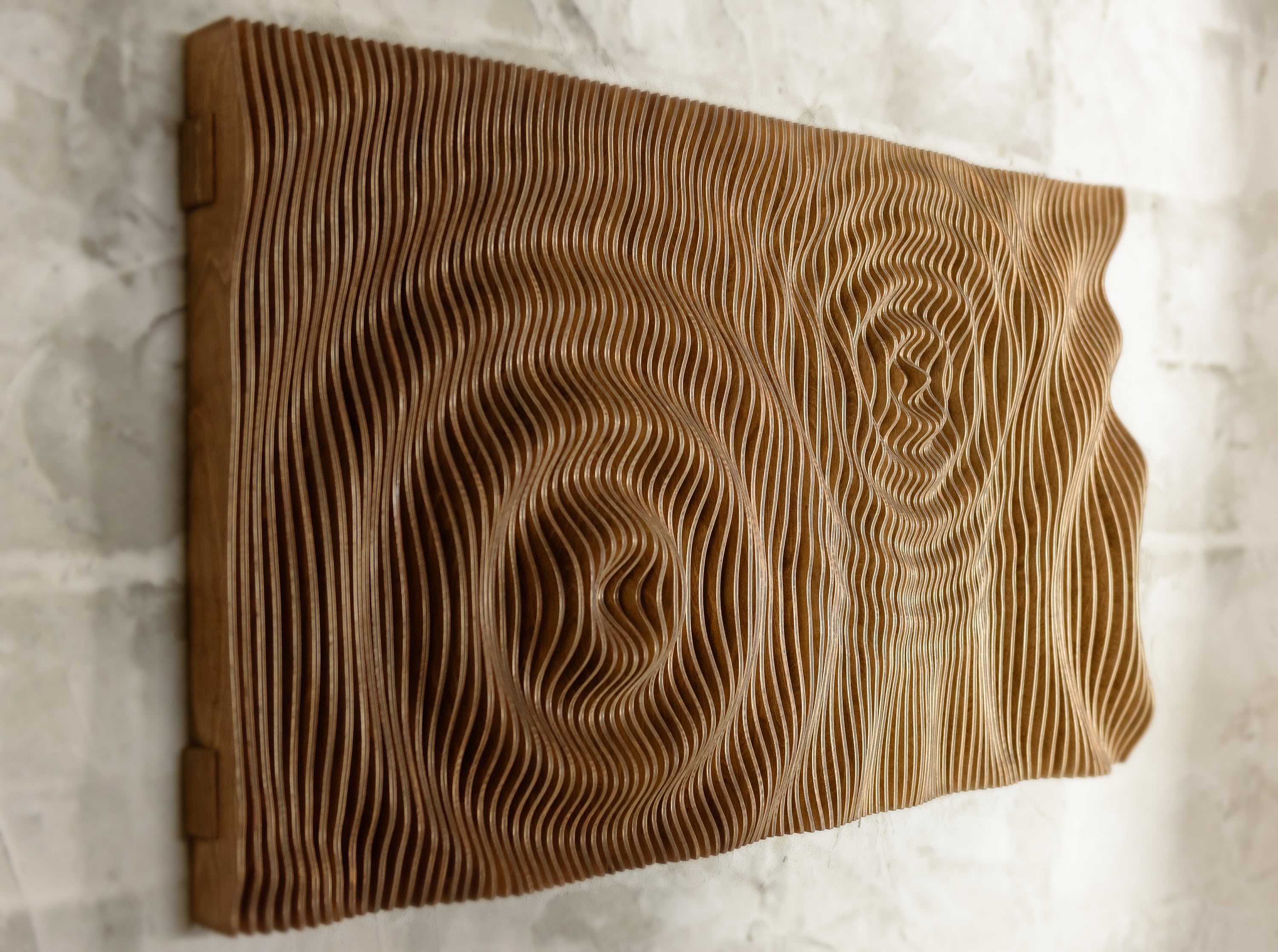 Handcrafted Parametric Wood Wall Art Etsy