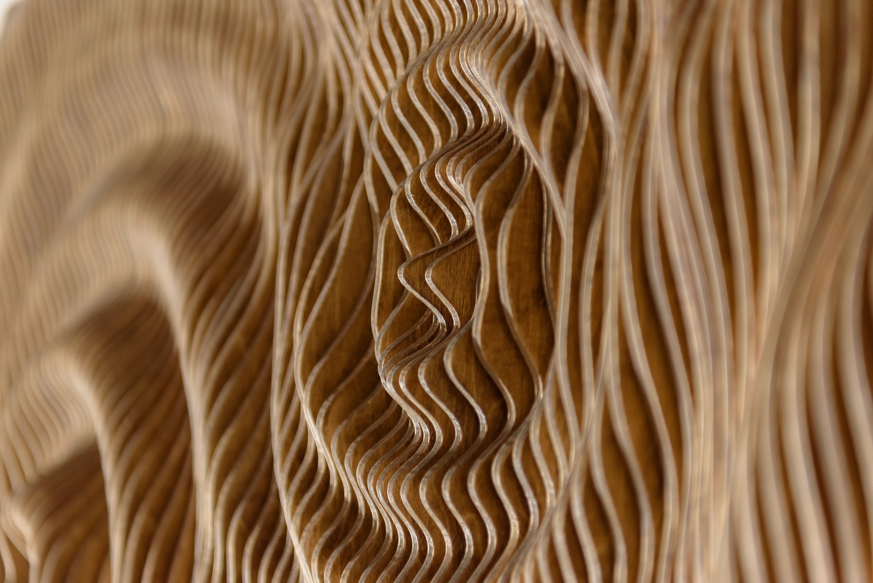 Handcrafted Parametric Wood Wall Art Etsy
