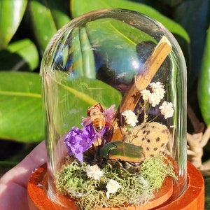 Mini Bee/Beetle Spring Display