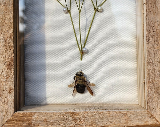 Minimalist Bumble Bee Display - Etsy