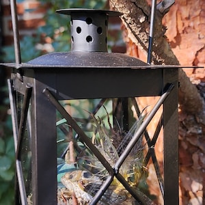 Rustic Cicada Display
