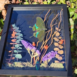 Jungle Jade Swallowtail Butterfly Display