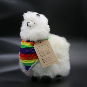 K&ouml;nnte beinhalten: Wei&szlig;es Alpaka-Pl&uuml;schtier mit einem Regenbogen-Schal. Das Spielzeug hat eine braune Nase und schwarze Augen. Das Etikett auf dem Spielzeug lautet "Alpaca New Wave" mit Social-Media-Handles und einer Website-Adresse.