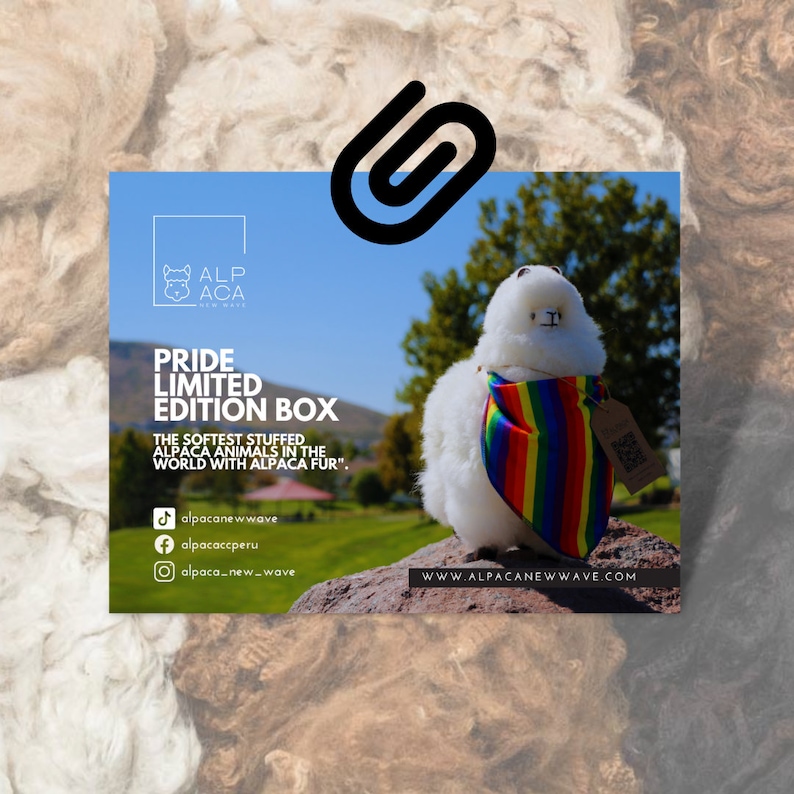K&ouml;nnte beinhalten: Ein wei&szlig;es Alpaka-Pl&uuml;schtier, das ein Regenbogen-Bandana tr&auml;gt. Das Alpaka sitzt auf einem Felsen mit gr&uuml;nem Hintergrund. Der Text "PRIDE LIMITED EDITION BOX" ist auf dem Bild. Der Text "THE SOFTEST STUFFED ALPACA ANIMALS IN THE WORLD WITH ALPACA FUR." ist auf dem Bild. Der Text "alpacanewwave" ist auf dem Bild. Der Text "alpacaccperu" ist auf dem Bild. Der Text "alpaca_new_wave" ist auf dem Bild. Der Text "WWW.ALPACANEWWAVE.COM" ist auf dem Bild.