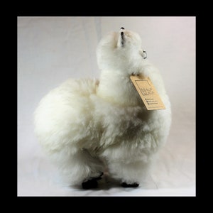 K&ouml;nnte beinhalten: Wei&szlig;es Alpaka-Fell-Pl&uuml;schtier mit einem braunen Etikett, auf dem "Alpaca" steht und Informationen &uuml;ber das Produkt enthalten sind. Das Alpaka steht auf einer wei&szlig;en Oberfl&auml;che.