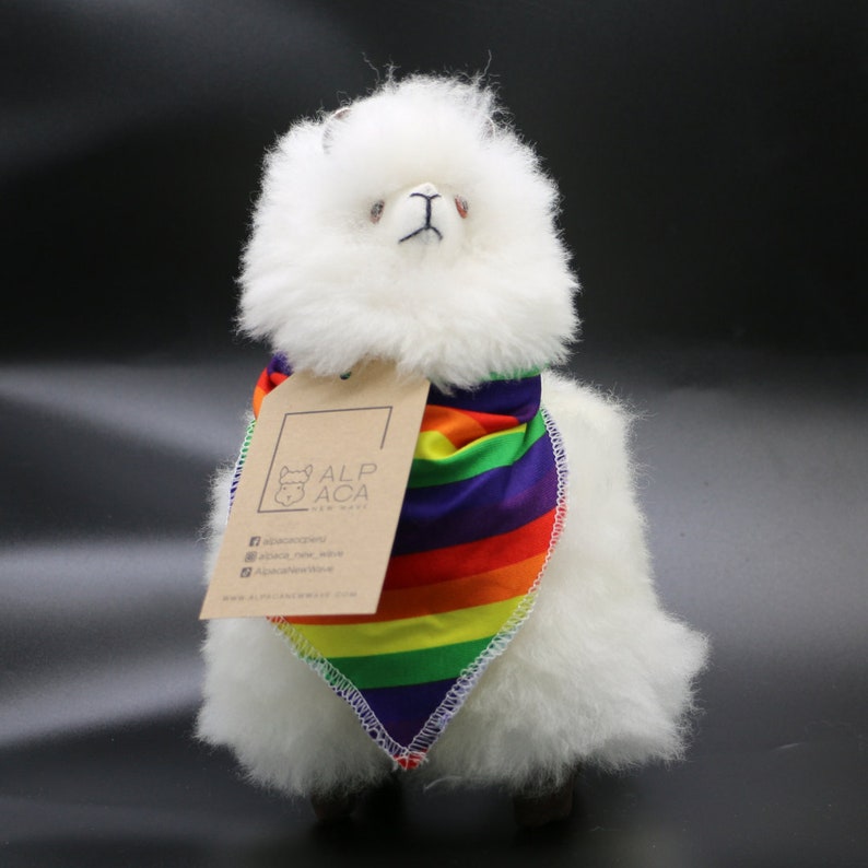 K&ouml;nnte beinhalten: Wei&szlig;es Alpaka-Pl&uuml;schtier mit einem regenbogenfarbenen Bandana und einem braunen Etikett mit der Aufschrift "Alpaca New York" sowie den Social-Media-Handles "@alpaca_new_york" und "AlpacaNewYork".