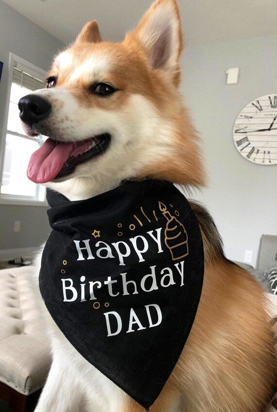 Happy Birthday Mom Dog Bandana Birthday Dog Bandana /Dog Parent Gift /Happy Birthday Mom Or - Etsy Australia Happy Birthday Mom Dog Bandana Birthday Dog Bandana /Dog Parent Gift /Happy Birthday Mom Or - Etsy Australia