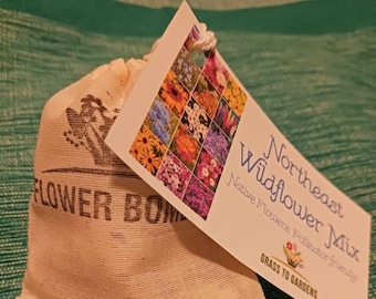 NE Flower Seed Bombs - Northeast Wildflower Mix