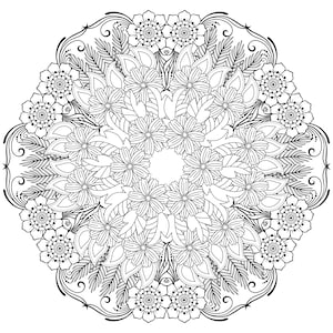 20 Tropical Jungle Mandala Adult Coloring Pages