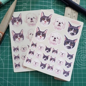 ADD ON - Pet Portrait Sticker Sheet (mat dépoli clair ou blanc, kiss-cut, pour les bullet journals / planners)