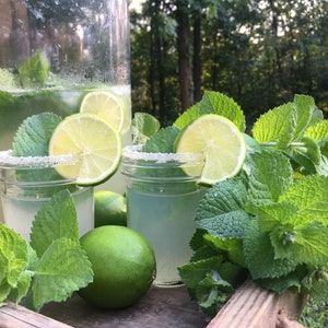 May include: A refreshing summer drink with lime slices and mint leaves. Two glasses of lemonade with sugar-rimmed edges are garnished with lime slices and mint. A large glass beverage dispenser is in the background, along with fresh limes and mint.