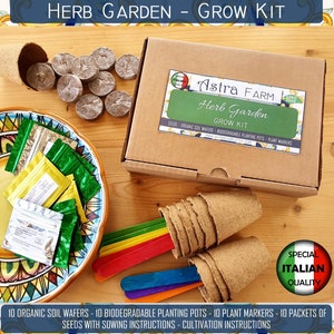 Kit per la coltivazione di erbe aromatiche italiane, kit di semi di erbe aromatiche, kit per il giardino interno, coltiva le tue erbe aromatiche in casa, regalo di Natale in una scatola, kit di avviamento per erbe aromatiche in casa