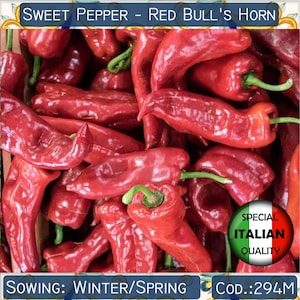 Könnte beinhalten: Nahaufnahme eines Stapels roter süßer Paprika, beschriftet mit "SWEET PEPPER - RED BULL'S HORN". Die Paprika sind lang und dünn, mit einer leicht gekrümmten Form. Das Etikett enthält auch "SPECIAL ITALIAN QUALITY" und "SOWING: WINTER/SPRING COD.:294M".