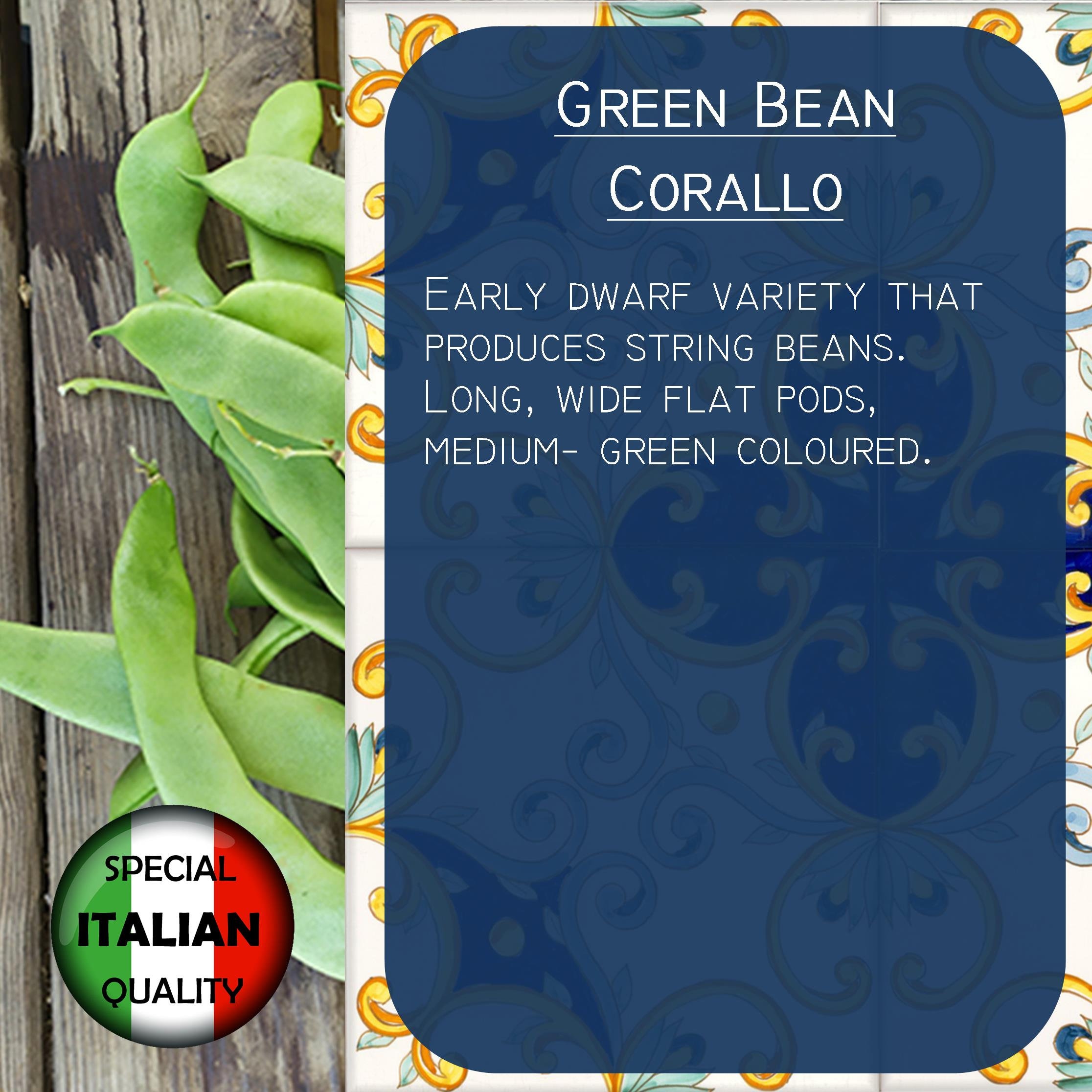 10 Italian Green Bean Seeds Corallo Green Bean Seeds Italian Etsy