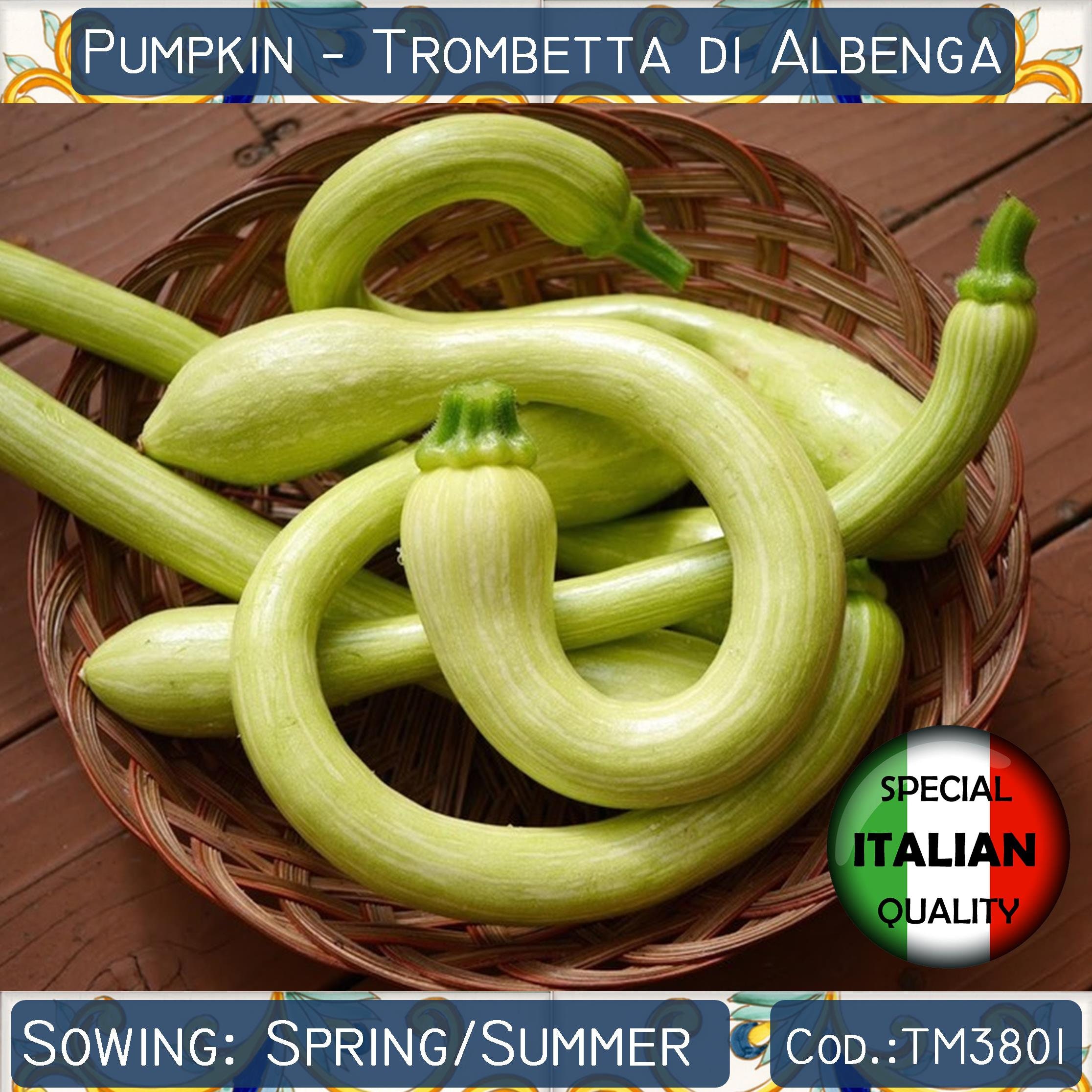 Semi Di Zucca Trombetta D'Albenga - Per Orto E Giardino | Sementi