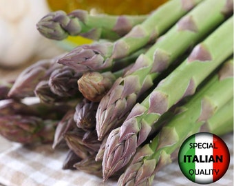 Más de 20 semillas de espárragos de Argenteuil, semillas de espárragos officinalis, semillas de hortalizas italianas, sin OMG n.° 010 M