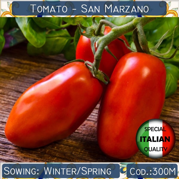 150+ Tomaat San Marzano zaden, Italiaanse Tomatenzaden, Rode Tomatenzaden, Groentezaden, Non GMO #300M