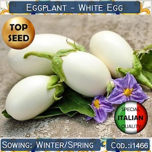 Semillas Berenjena Blanca Egg Ecológicas