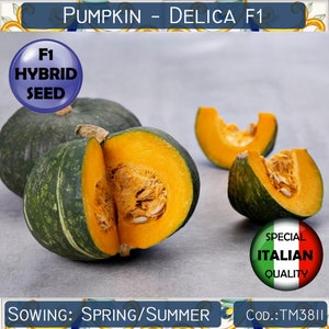 Op de afbeelding: Close-up van een groene en oranje pompoen, doormidden gesneden, met zichtbare zaden. De pompoen is gelabeld met "PUMPKIN - DELICA F1" en "F1 HYBRID SEED". Het label vermeldt ook "SPECIAL ITALIAN QUALITY" en "SOWING: SPRING/SUMMER" en "COD.:TM3811".