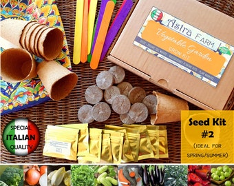 Kit de jardín de interior, Cultive su propio vegetal en interiores, Kit de cultivo de verduras, Kit de semillas de vegetales, Regalo de jardinería, Kit de inicio de vegetales de interior # 2