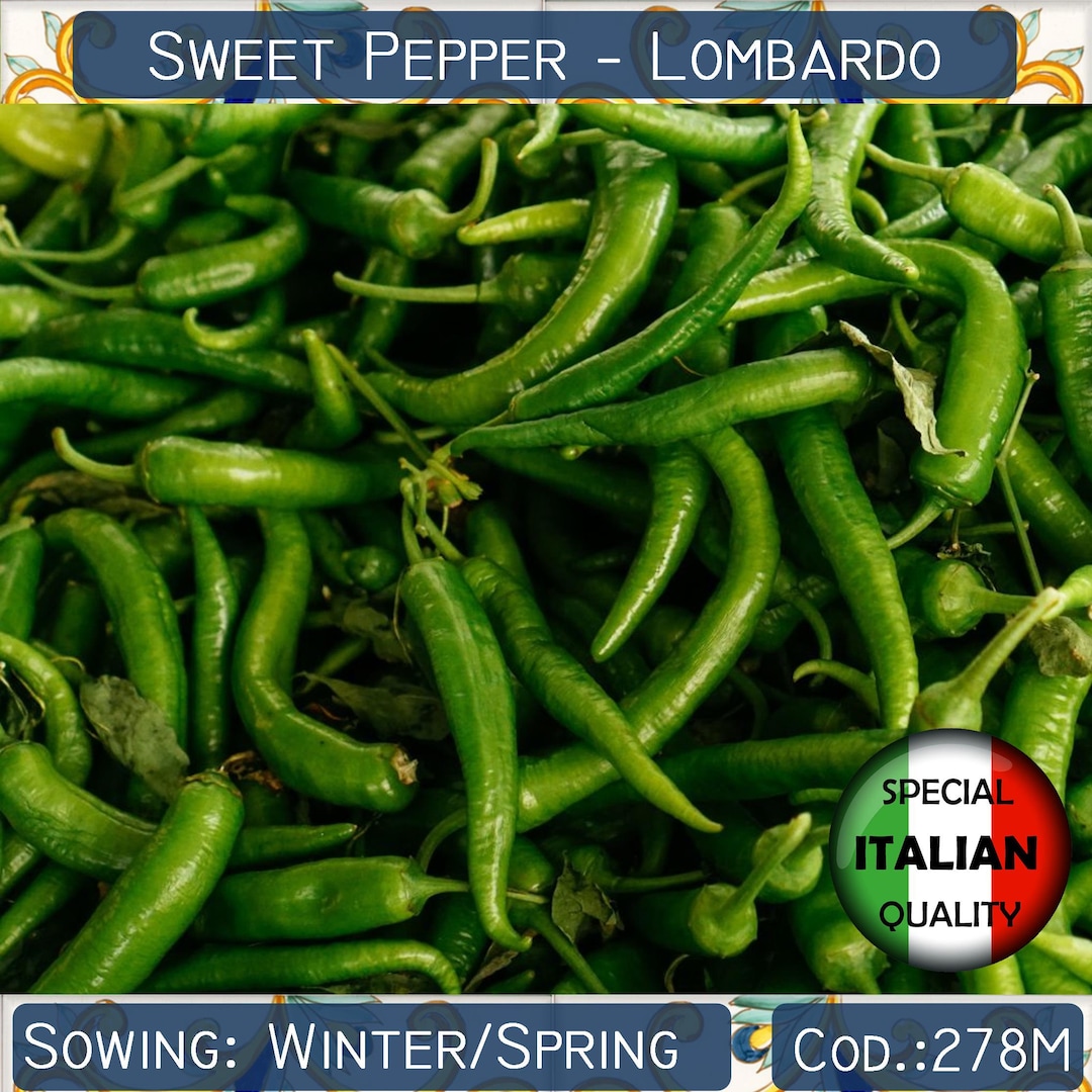 70 Sweet Pepper Lombardo Seeds Italian Pepper Seeds Green Etsy Canada